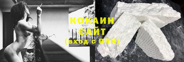 стаф Аркадак