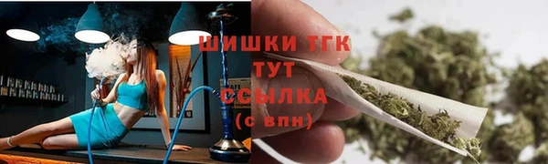 стаф Аркадак