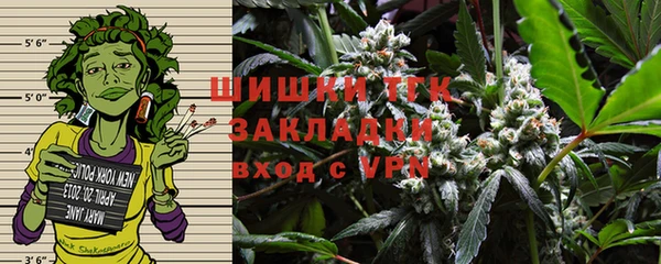 стаф Аркадак