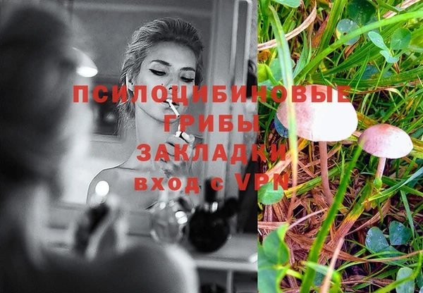 гидропоника Алзамай