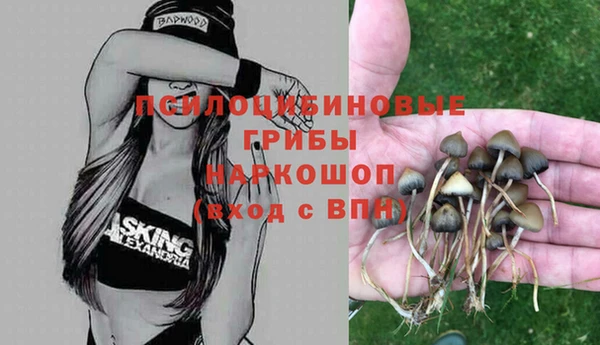 прущие грибы Арсеньев