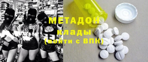 прущие грибы Арсеньев