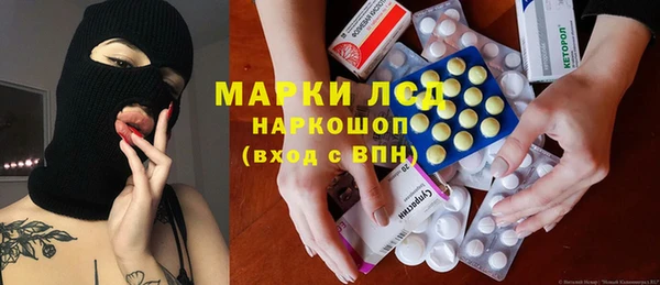 прущие грибы Арсеньев